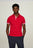 polo tommy hilfiger