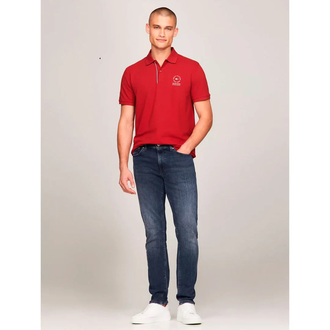 polo tommy hilfger
