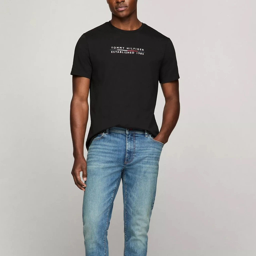 t-shirt tommy hilfiger